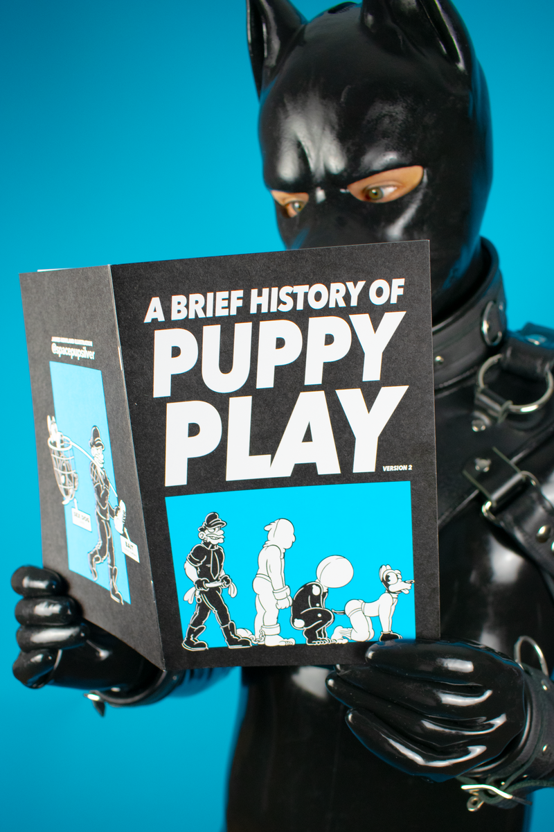 Puppy play deals outfit