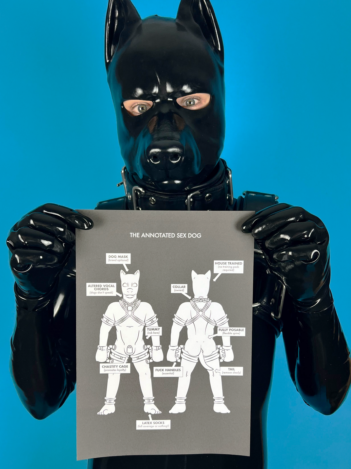 Annotated Sex Dog -Blackstyle- (A4 Print) – SpacePupSilver