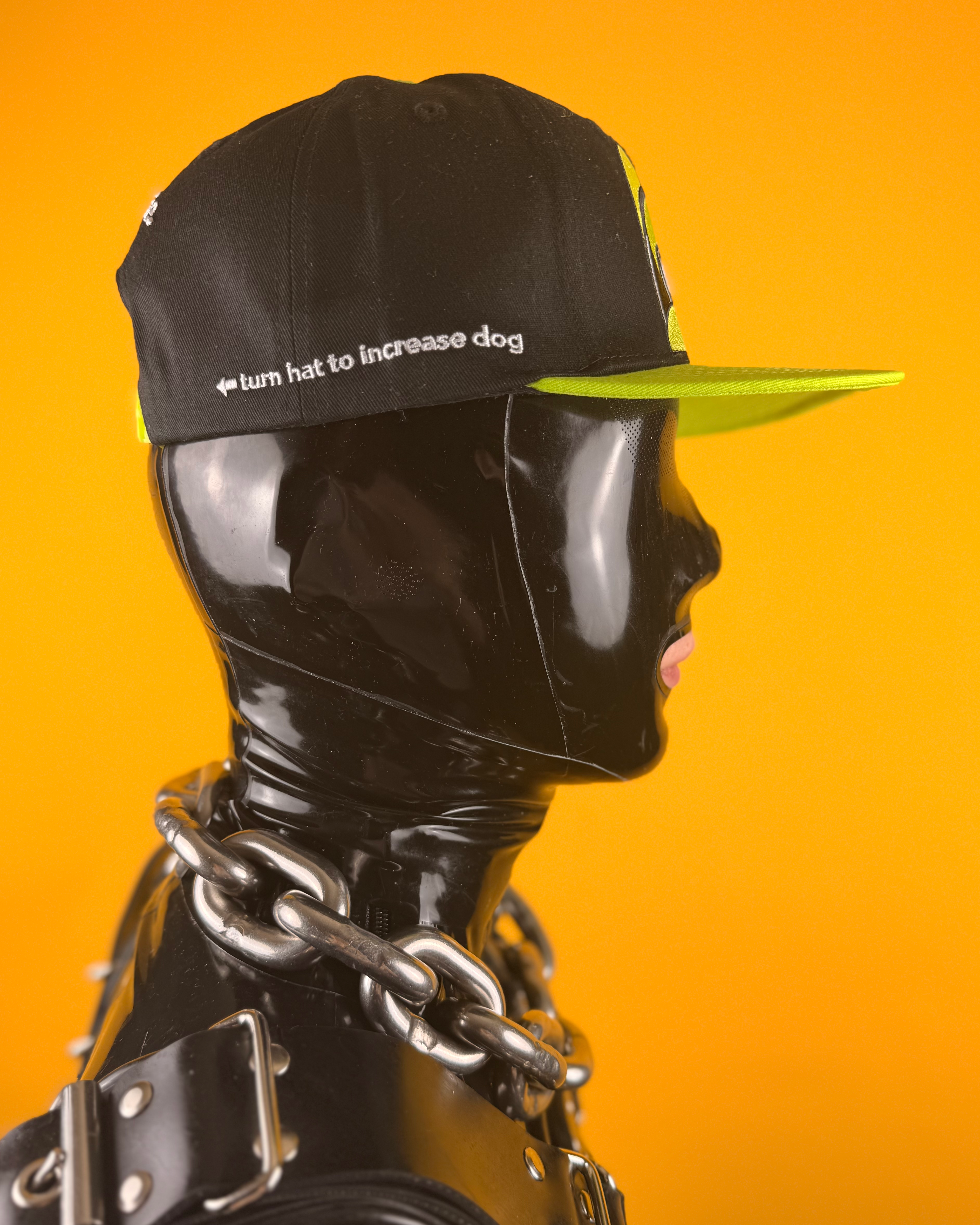 AWOO Hypno-Dog Hat (Green)