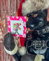 "Gift Giving" Christmas Cards 2025 (5 Pack)