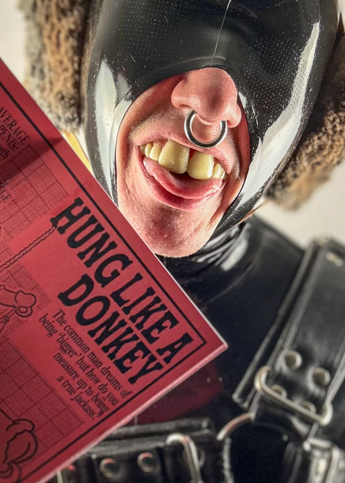 Donkeyboy: Thoughts on donkey play (A5 Zine)