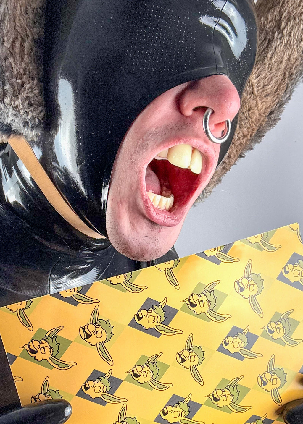 A Guide to Jackassery: How to be a Donkey (A5 Zine)