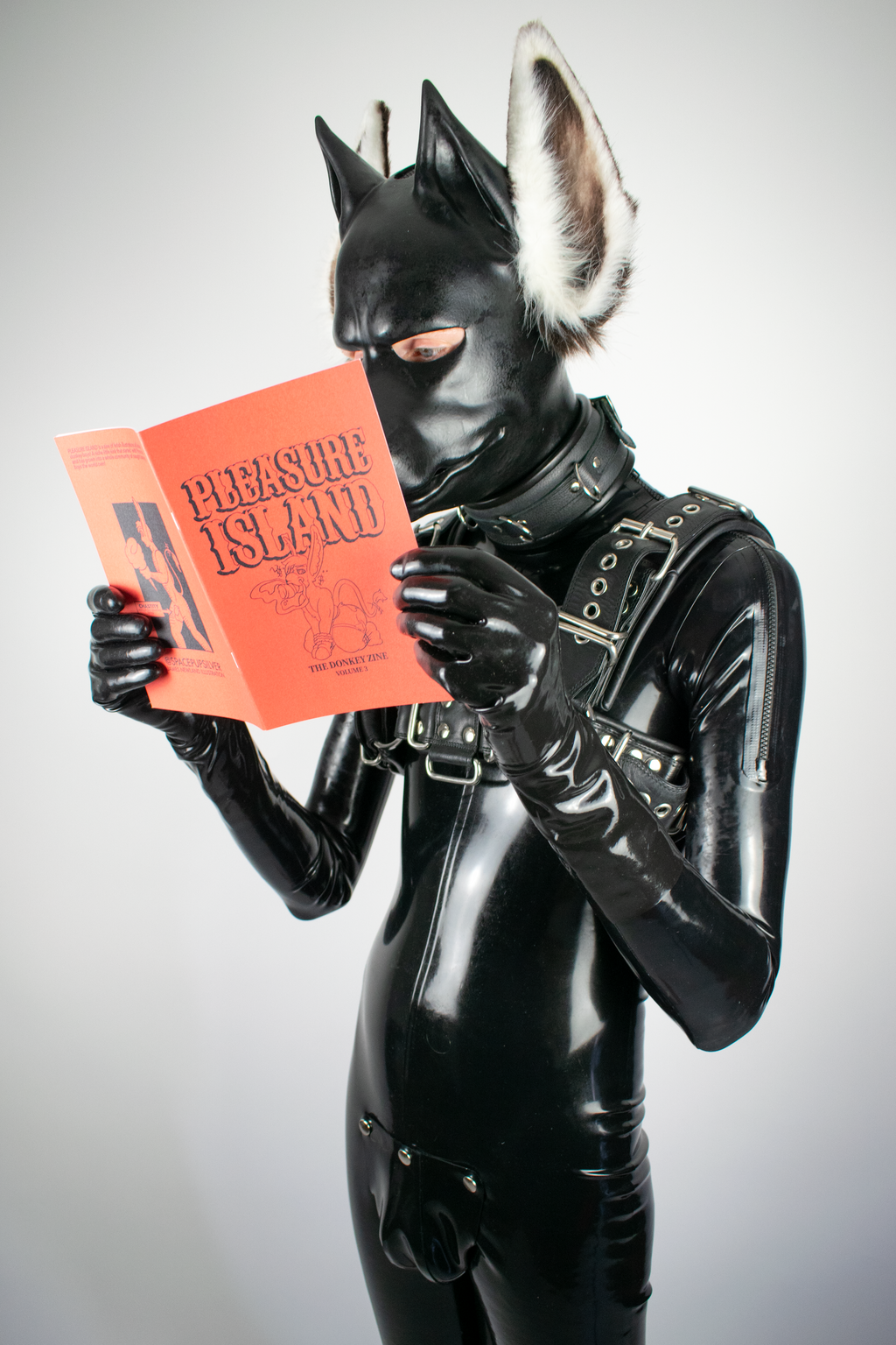 Pleasure Island Volume 3 (A5 Zine)
