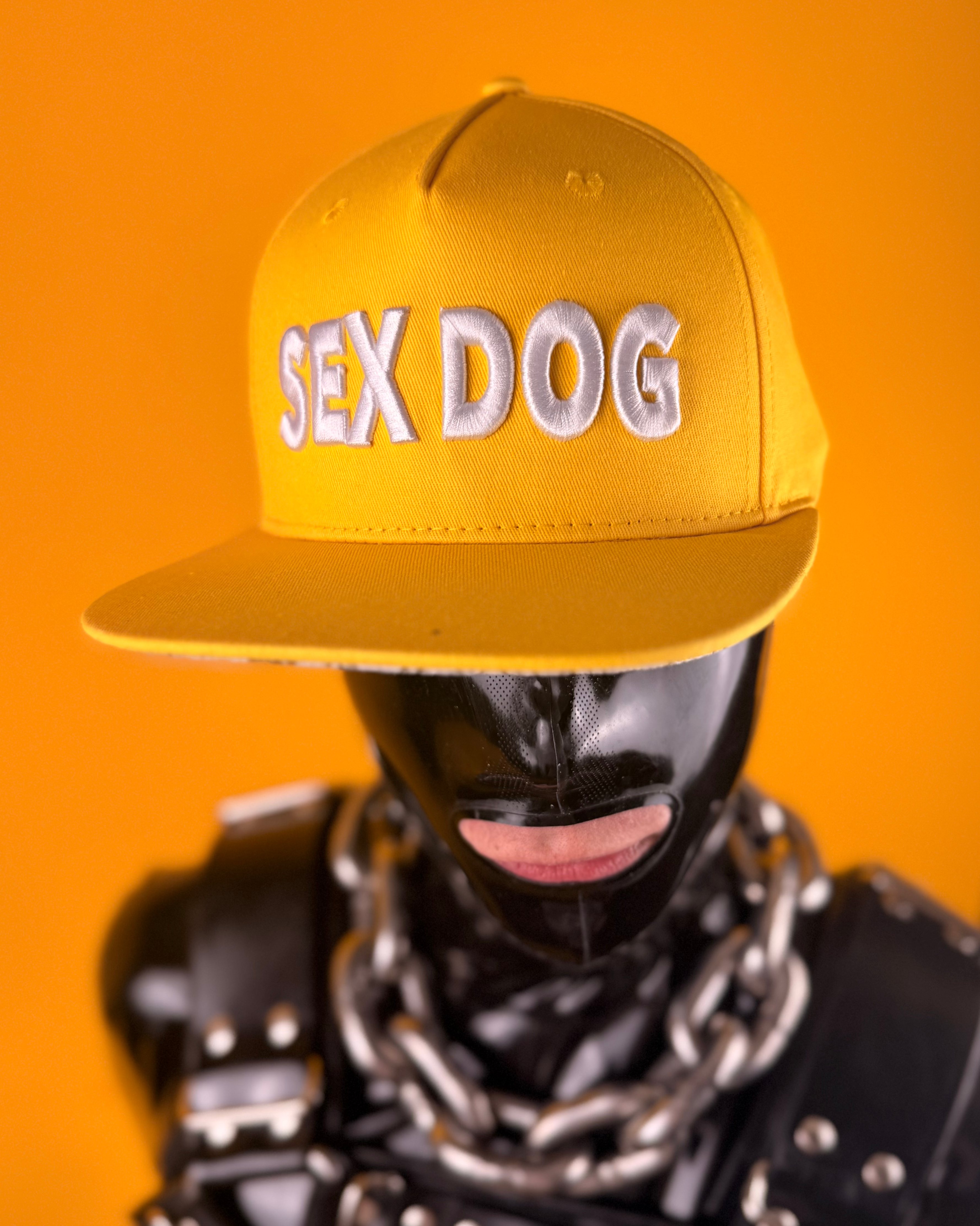 Sex Dog Hat (Yellow)