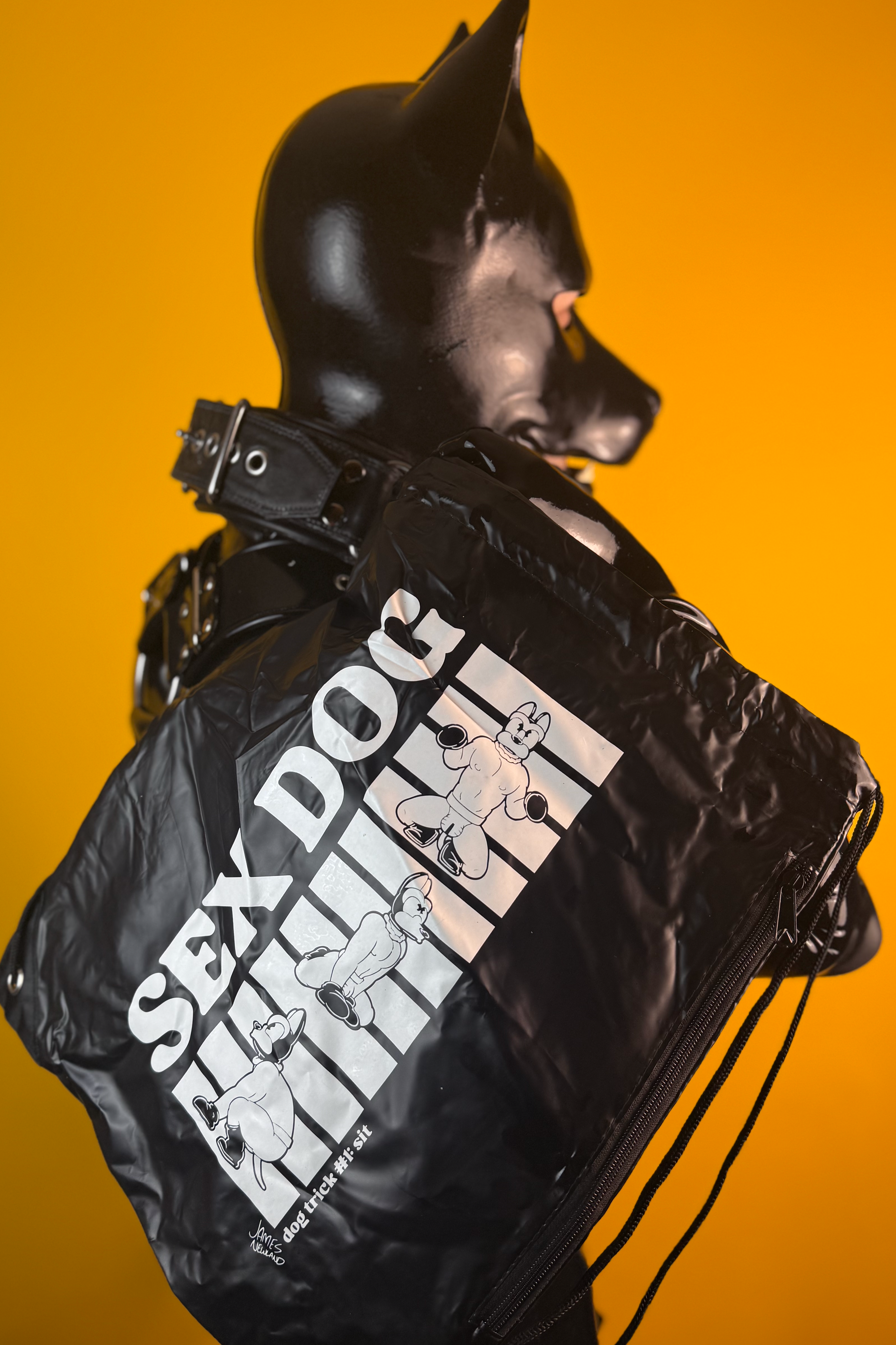 Sitting Dog Bag (PVC Drawstring)
