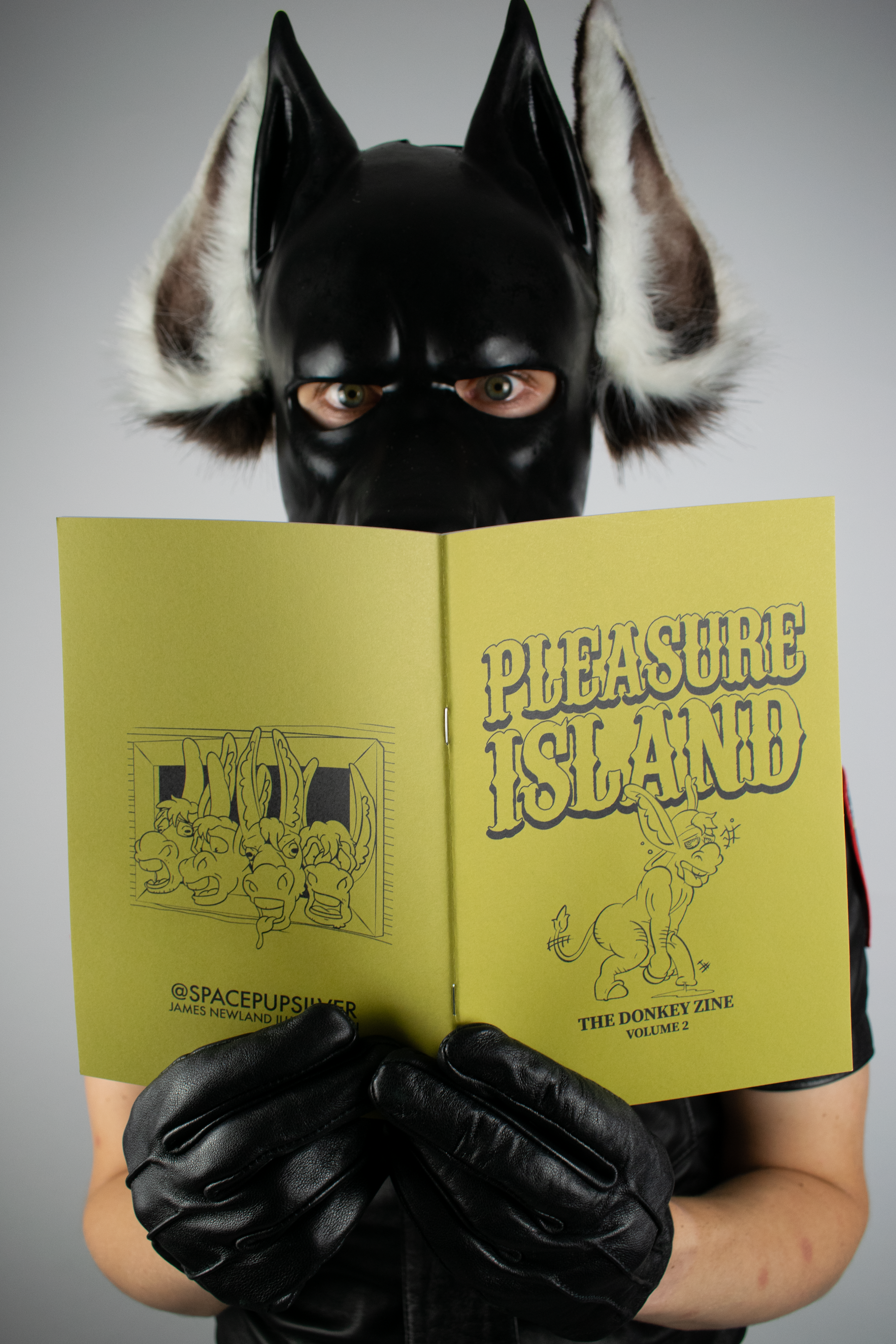Pleasure Island Volume 2 (A5 Zine) – SpacePupSilver