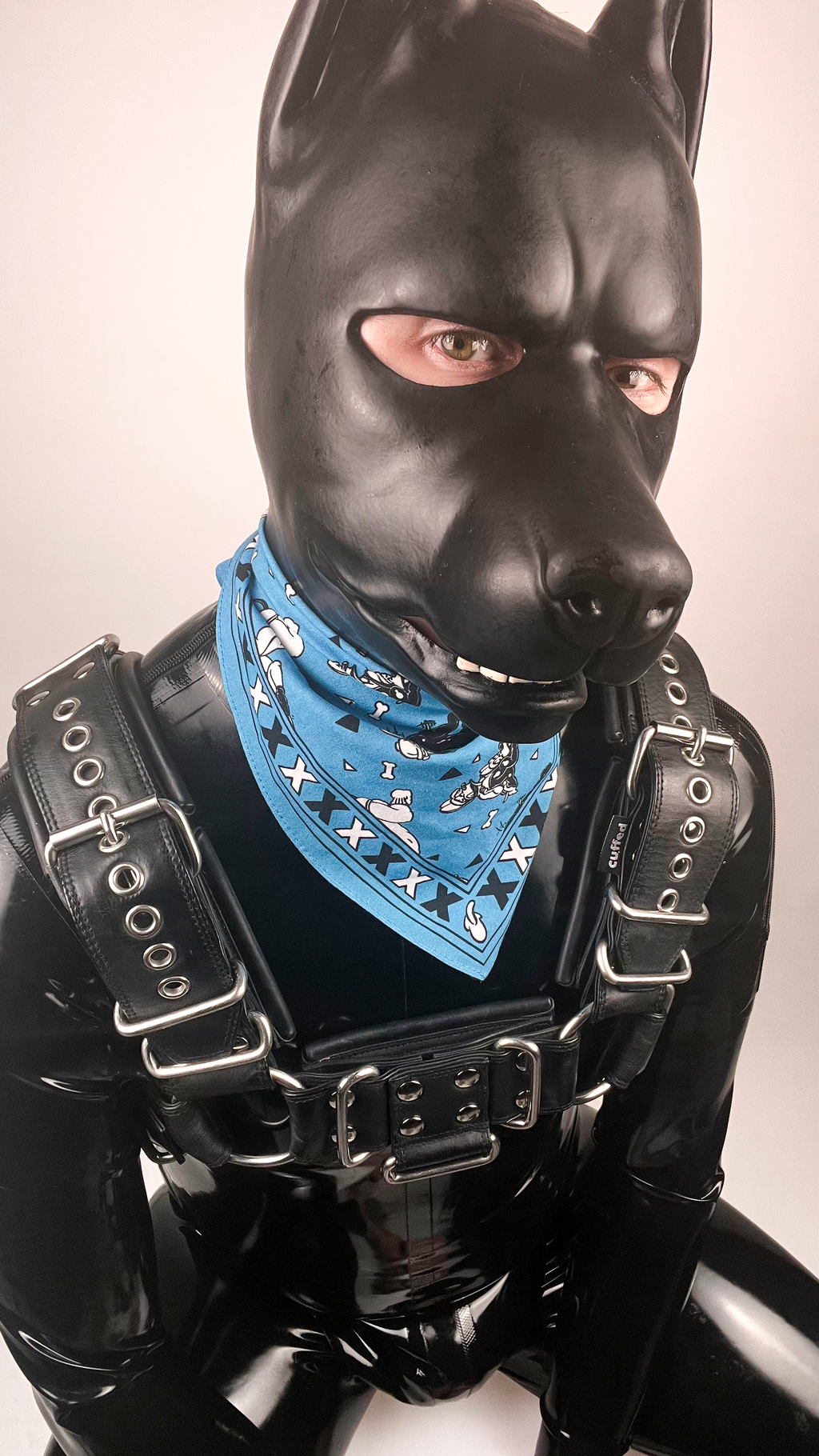 Rubber Puppy Bandana (Blue)