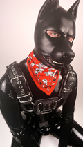 Bondage Boy Bandana (Red)