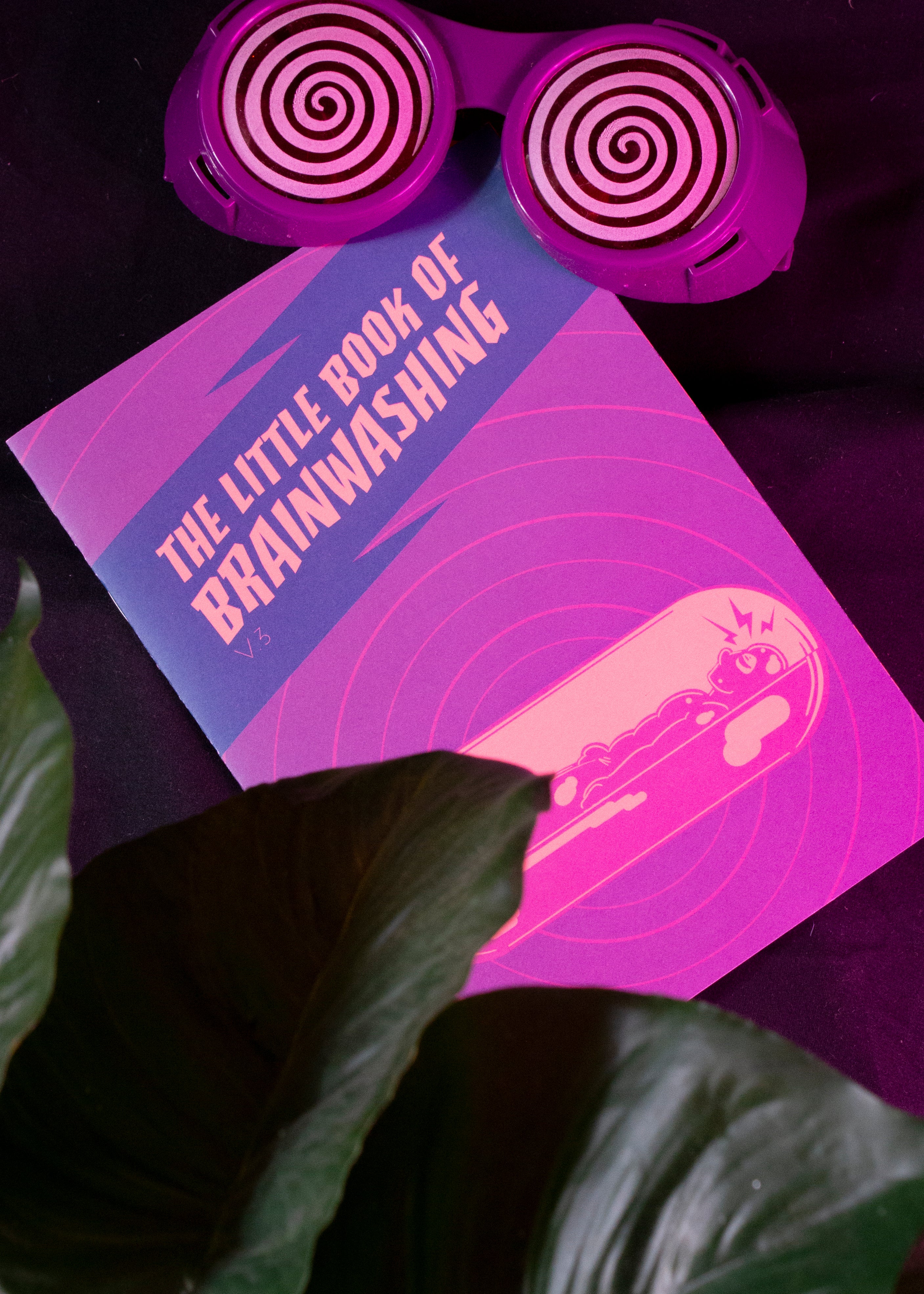 The Little Book of Brainwashing