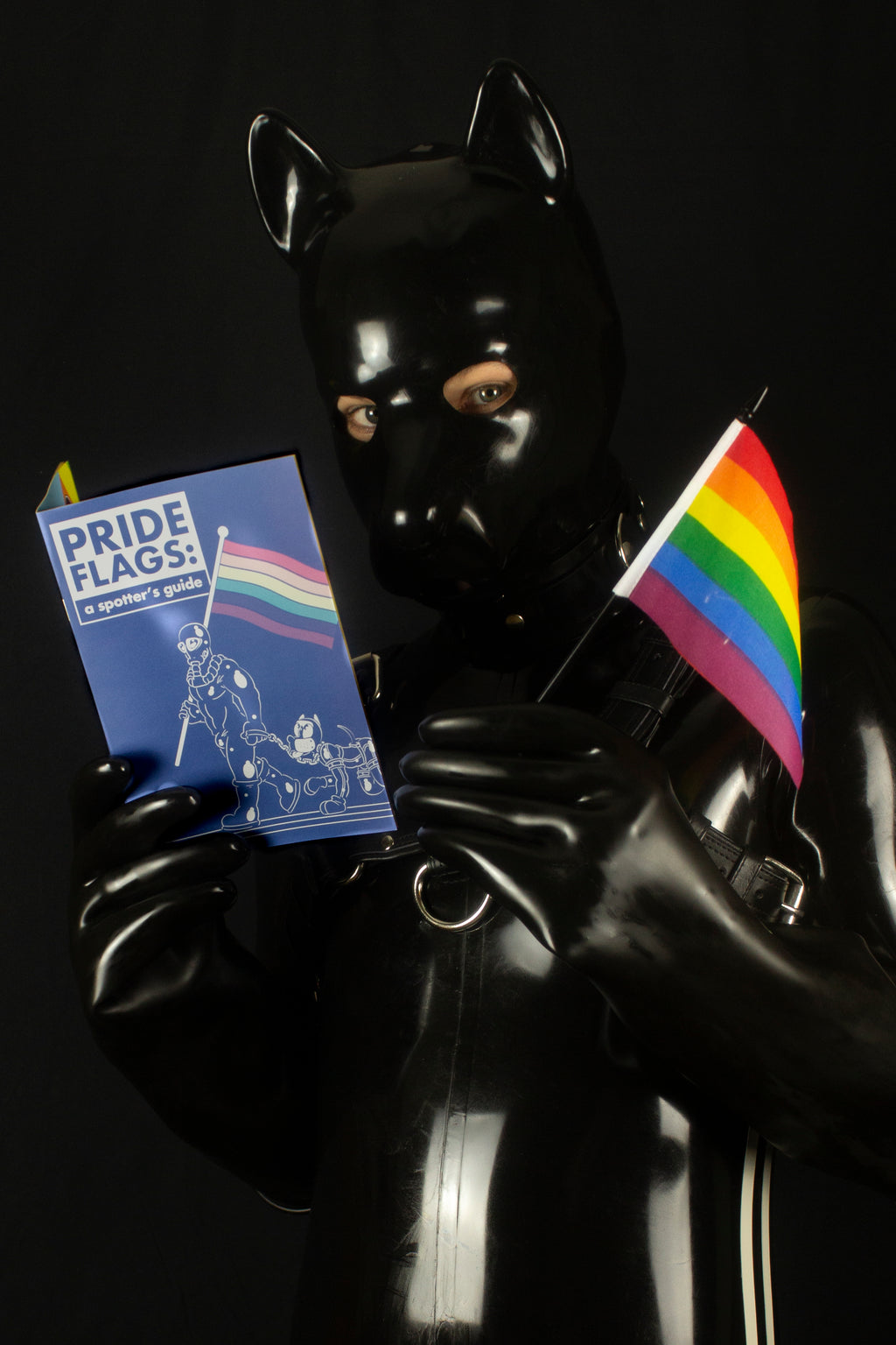 Pride Flag Spotters Guide (A5 Zine)