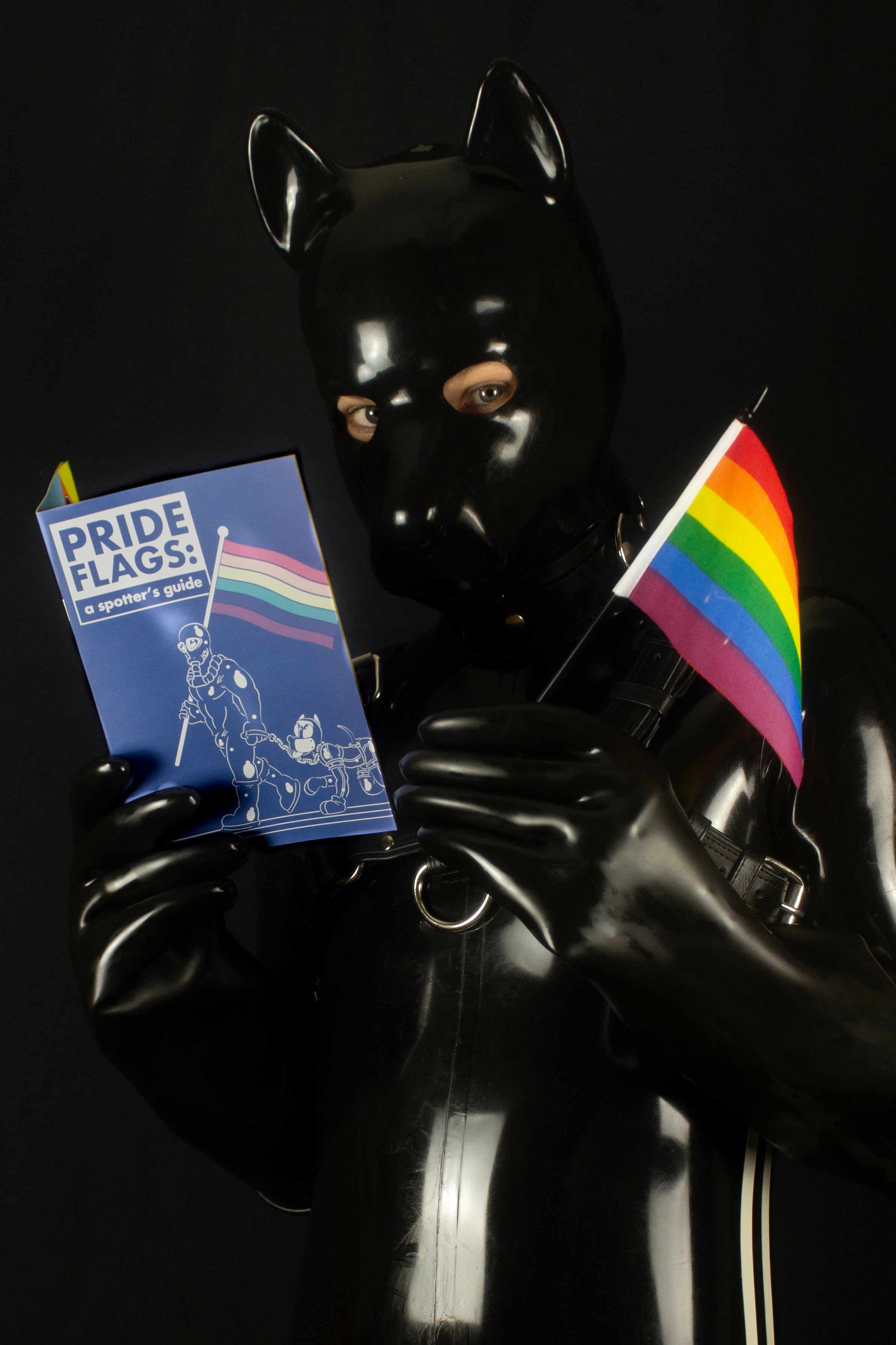 Pride Flag Spotters Guide (A5 Zine)