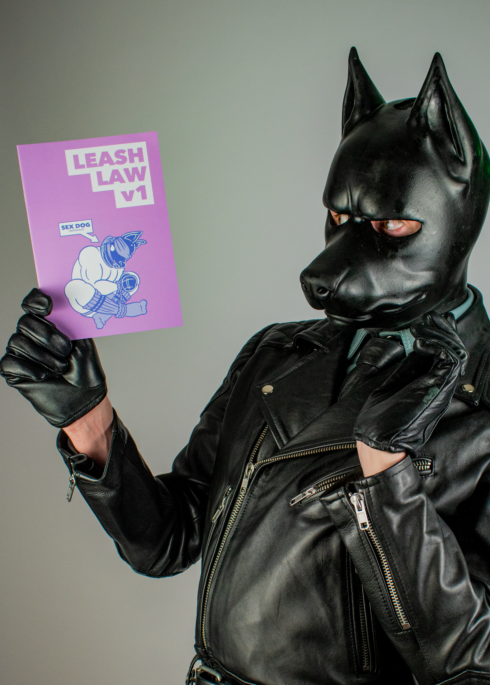 Leash Laws (A5 Zine)