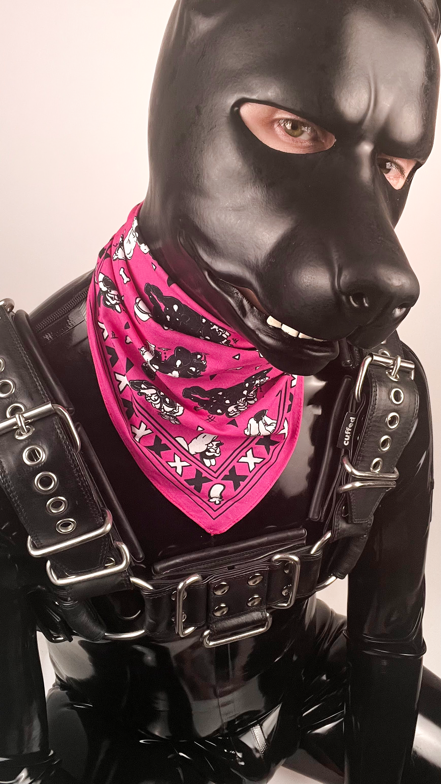 Rubber Puppy Bandana (Pink)