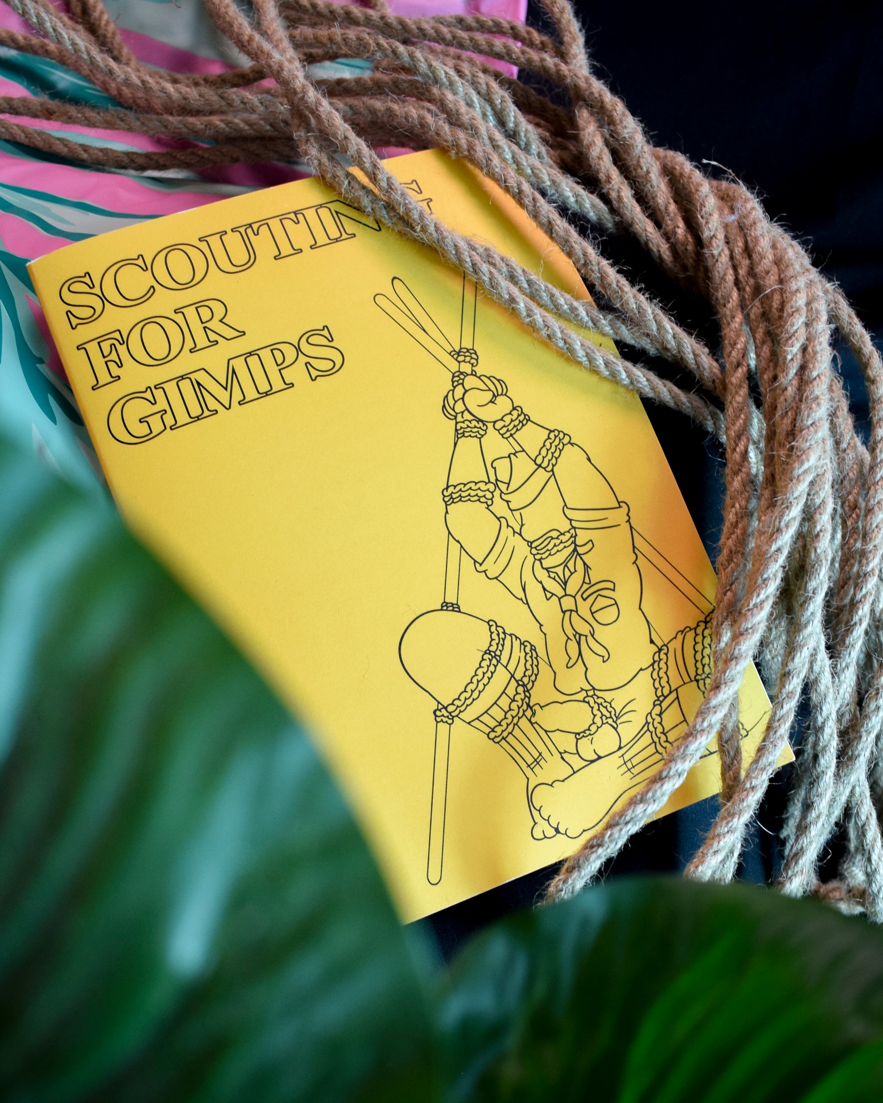 Scouting for Gimps (Colouring Book)