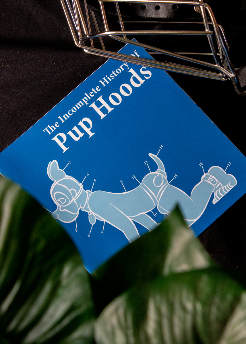 The History of Pup Hoods (Timeline) SpacePupSilver